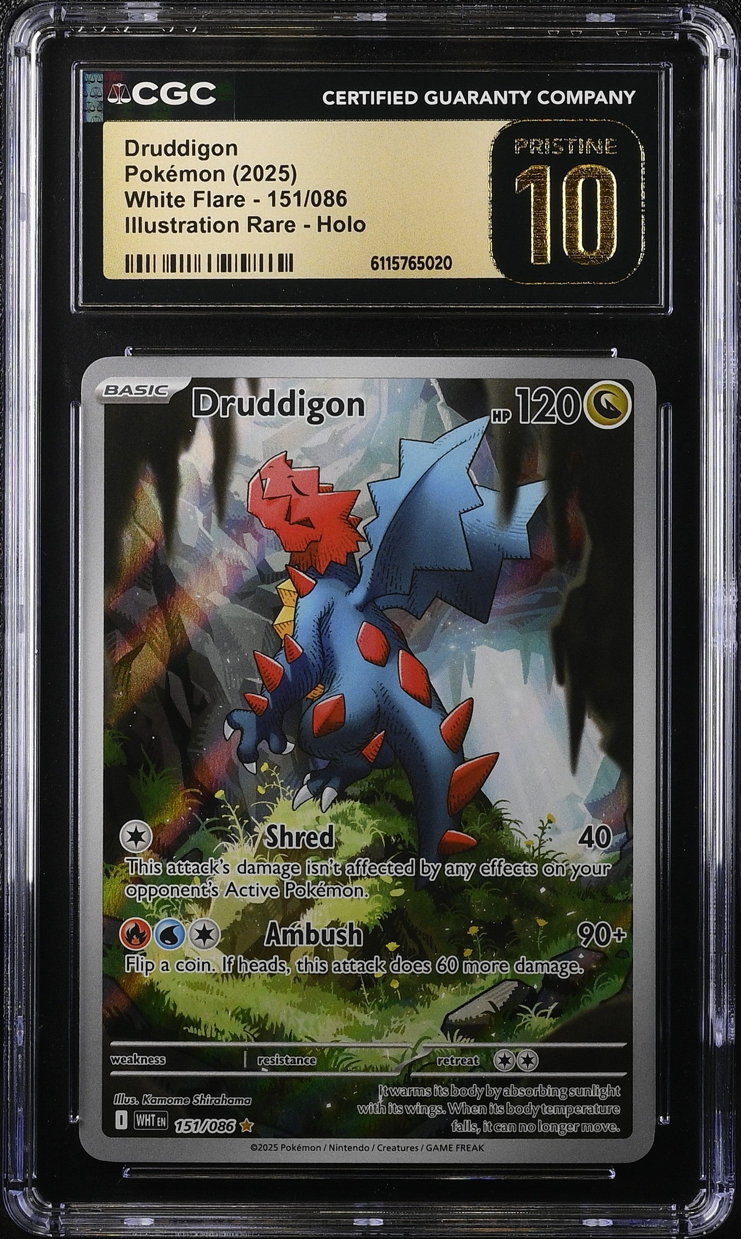 2025 Pokemon Scarlet & Violet White Flare IR Druddigon #151 CGC 10 PRISTINE