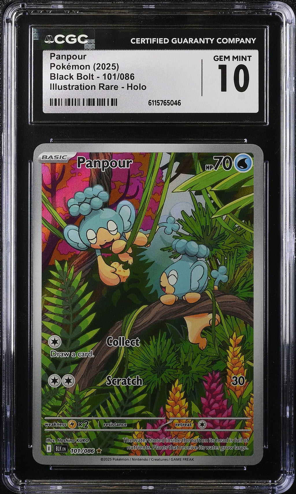 2025 Pokemon Scarlet & Violet Black Bolt IR Panpour #101 CGC 10 GEM MINT
