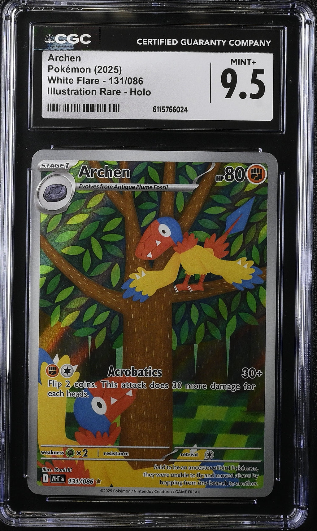 2025 Pokemon Scarlet & Violet White Flare IR Archen #131 CGC 9.5 MINT+