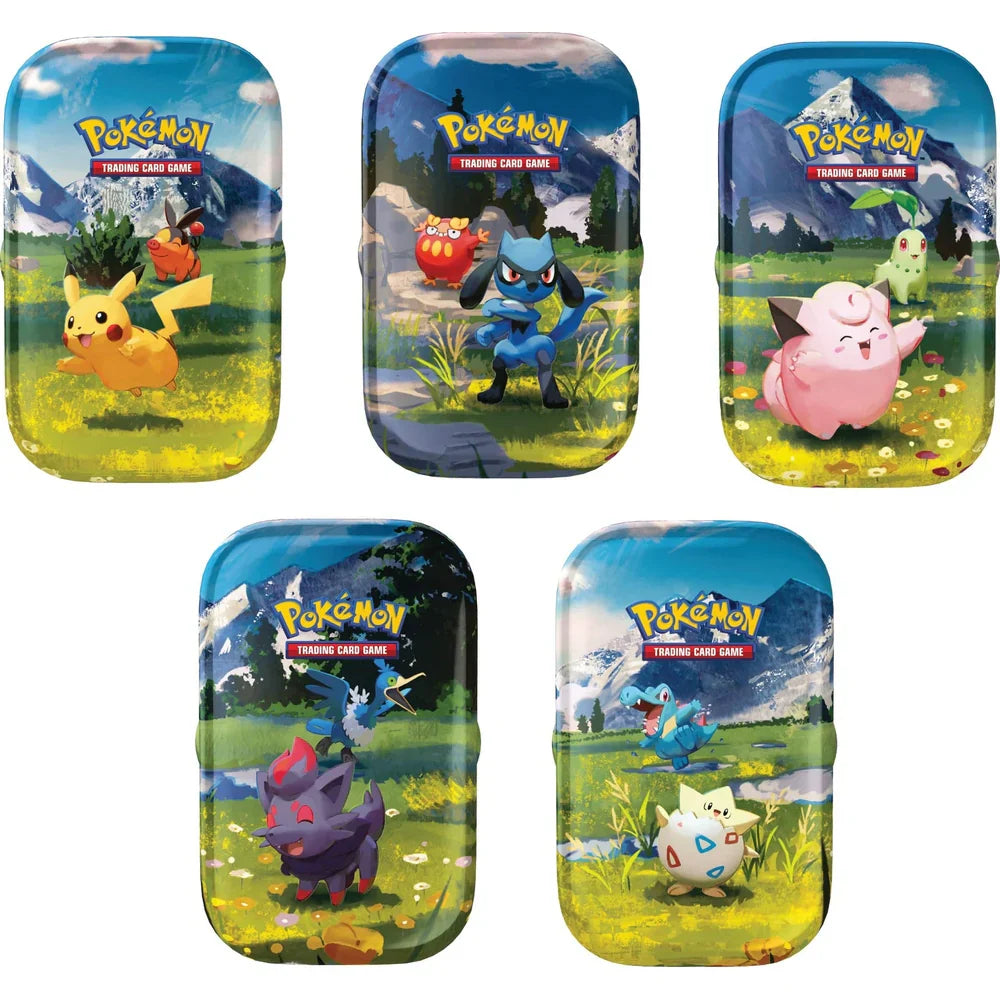 Pokemon - Ascended Heroes - Mini Tin - Display